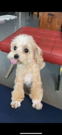 秋野暢子『④これまでの私の経過』