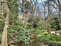 アグネス・チャン『次男の車の窓が割られた‼️』