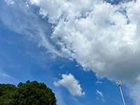 薬丸裕英『義父のお墓参り』