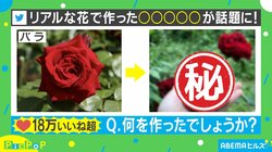 圧倒的センス…！ 草花で作った“妖精のドレス”に反響相次ぐ 投稿主「大人になって再挑戦した」