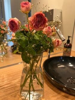 堀ちえみ、検査で診断されていた病名を明かす「背骨から腰にかけて辛く」 