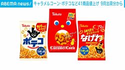 キャラメルコーン・ポテコなど41商品値上げ 9月出荷分から