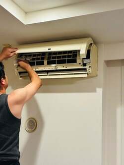 だいたひかる、思い出した夫との結婚の決め手「たぶん大丈夫だと思えた」 