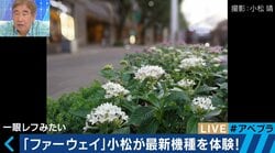 低価格・充実したカメラ機能　若者たちがファーウェイ製スマホを選択する日は近い？