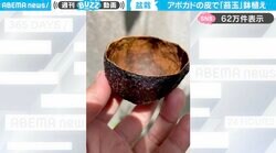 「すごい可愛い！」 アボカドの皮で作る“苔玉っぽい鉢植え”がSNSで話題！「土に還るからエコで良き」「苗ポット感覚でも使えそう」