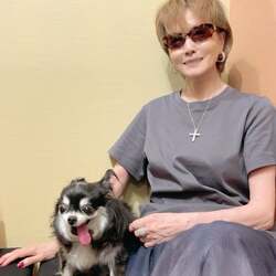  小柳ルミ子、愛犬の突然の旅立ちを報告「現実を受け止められずにいます」 