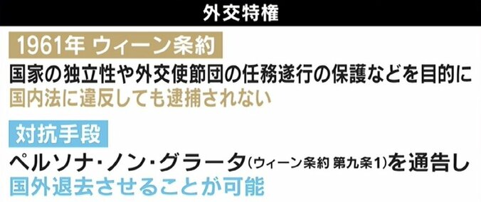 ひろゆき氏「死刑や無期懲役の国もあるのに、さすがにおかしい」“スパイ活動”主戦場はネットへ…機密情報に緩すぎる日本 7枚目