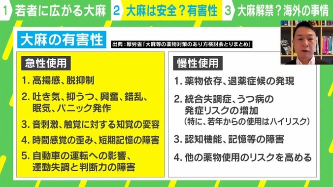 「大麻使ってもいいんだ」若者の大麻乱用の拡大 なぜ、ネットの誤情報を盲信するのか？ 合法化している国の深刻すぎる事情 3枚目