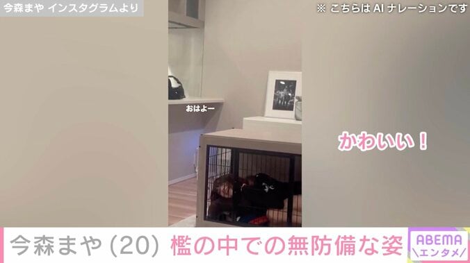 今森まや Instagramより