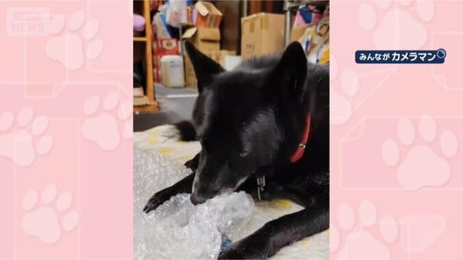 やっぱりやめられない！