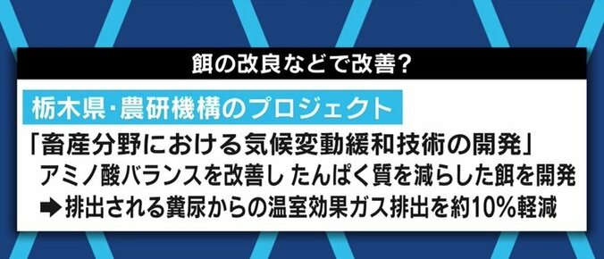 アメリカでは牛肉を使ったレシピ情報の削除も…「“フレキシタリアン”から始めてみてもいいと思う」個人にできる気候変動対策は 3枚目