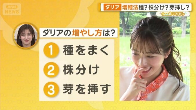 ダリアの増やし方は？