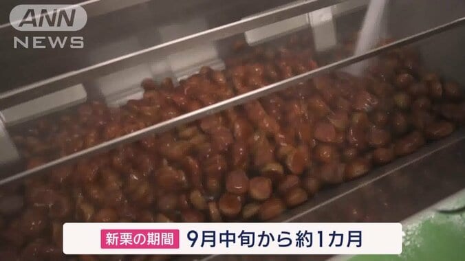 新栗の使用で風味がアップ