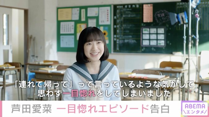 芦田愛菜、飼い始めた猫は一目惚れ「連れて帰ってって言われているようで…」 1枚目