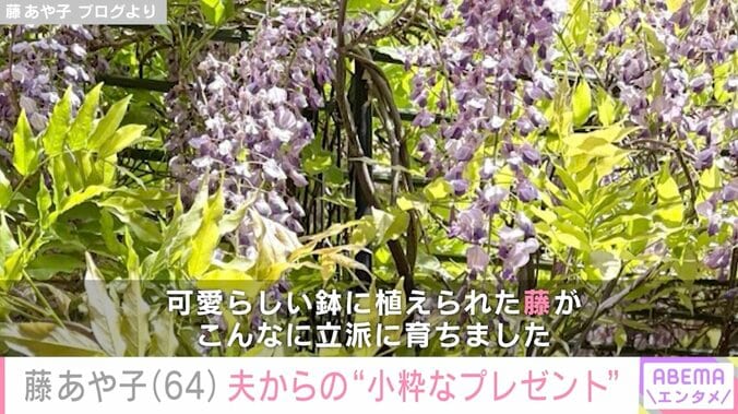 藤あや子 ブログより