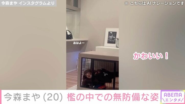 今森まや Instagramより