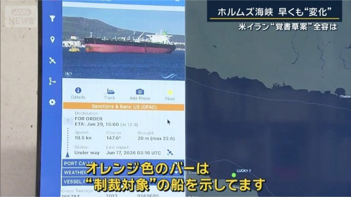 東京大学大学院　渡邉英徳教授