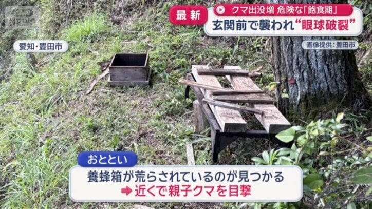 養蜂箱が荒らされているのが見つかる