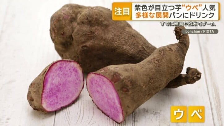 ウベ
