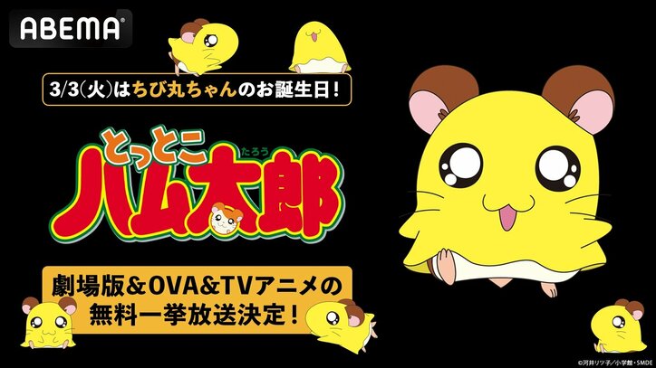 【写真・画像】『とっとこハム太郎』劇場版＆OVA全8作品がABEMAで無料一挙放送、TVシリーズ全296話も配信決定　1枚目