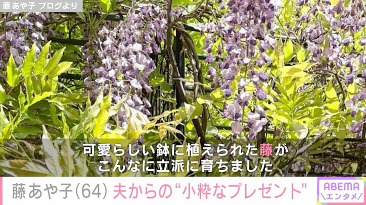 藤あや子 ブログより