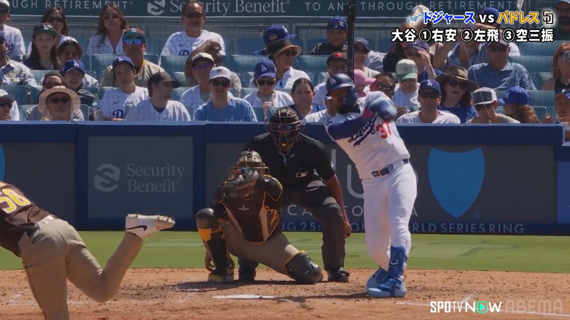 【写真・画像】　2枚目