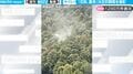 「恐怖映像キター!」木々から立ち上る煙のようなもの…花粉襲来の決定的瞬間をとらえた映像にSNSから悲鳴の声