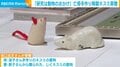 「研究は動物のおかげ」亡母手作り陶製ネズミ寄贈