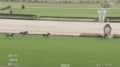 「今年イチの衝撃」最速タイムは“クロワ超え”7馬身差圧勝の牝馬をファン絶賛「楽しみすぎて興奮」「ダービー行ける」