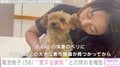 菊池桃子、愛犬が天国へ旅立ったことを報告 2月にはがん再発を公表「かけがえのない思い出をありがとう」