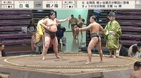 【映像】甲乙つけがたい「美四股」対決