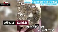 けやきヒルズ - 最新NEWS - 中国 学校食堂に“カビ食材”で猛抗議 拡大する活動で交通マヒも (19/03/14) | 動画視聴は【Abemaビデオ(AbemaTV)】