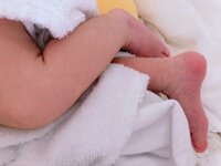 平野ノラ『ありがとうございます』