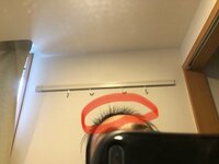 たんぽぽ白鳥久美子『よみがえる毛』