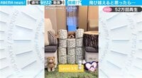 トイプードルが披露した“珍行動”にネット騒然「犬を飼いたくなった」「可愛くてたまらない」