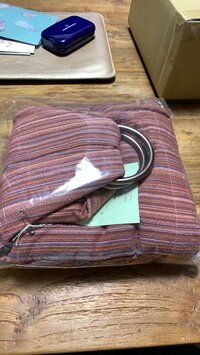 キンタロー。旦那『ぐずる“ちびキン”ちゃんに秘密兵器投入の妻。』