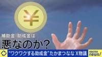 “ワクワクする助成金”たかまつなな X物議