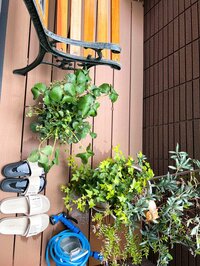 堀ちえみ『痛みから解放されてやっとラクができることが嬉しい』