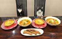 藤あや子『昨日の晩ごはん』