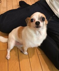 白城あやか『最近』