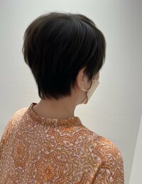 堀ちえみ『ヘアスタイルチェンジ』