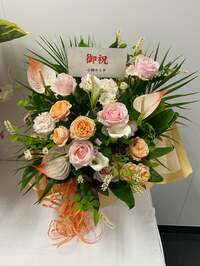 小柳ルミ子『聖子ちゃんに贈ったお花』