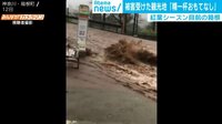 紅葉シーズン目前の箱根 台風被害を受けた観光地