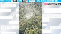 「恐怖映像キター！」木々から立ち上る煙のようなもの…花粉襲来の決定的瞬間をとらえた映像にSNSから悲鳴の声