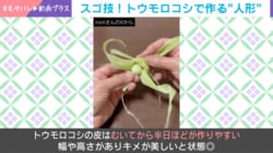 自然素材が芸術に…夏野菜の皮から“優美な姉様人形”が誕生「和紙かと見間違うほど」「発想も技術も素晴らしい！」究極の草花あそびに感嘆の声
