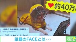 気に入ったワン 鏡に映る姿に見惚れる犬が可愛い 飼い主「カッパを着せてみたら」