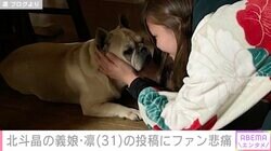 「会えないと思うと本当に寂しい」北斗晶の愛犬との別れに義娘・凛、悲痛な思い