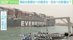 スエズ運河のコンテナ船座礁、日本に責任は？ 専門誌｢海事プレス｣小堺氏の見解