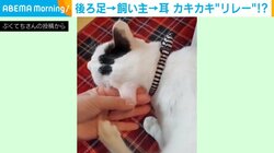 耳かきしてくれる飼い主の手をカキカキする猫？ 不思議なシンクロ劇に「可愛くて笑ってしまった」