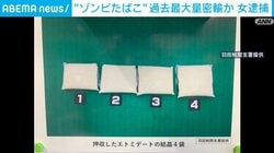 “ゾンビたばこ”過去最大量密輸か 女逮捕